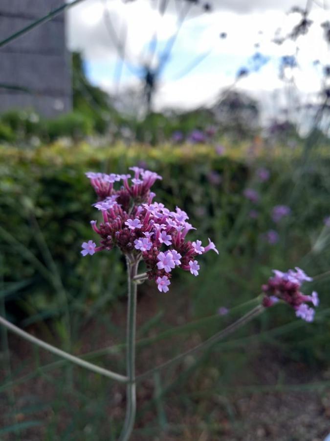 Le Jardin Des Fagnes Villa Robertville Bagian luar foto