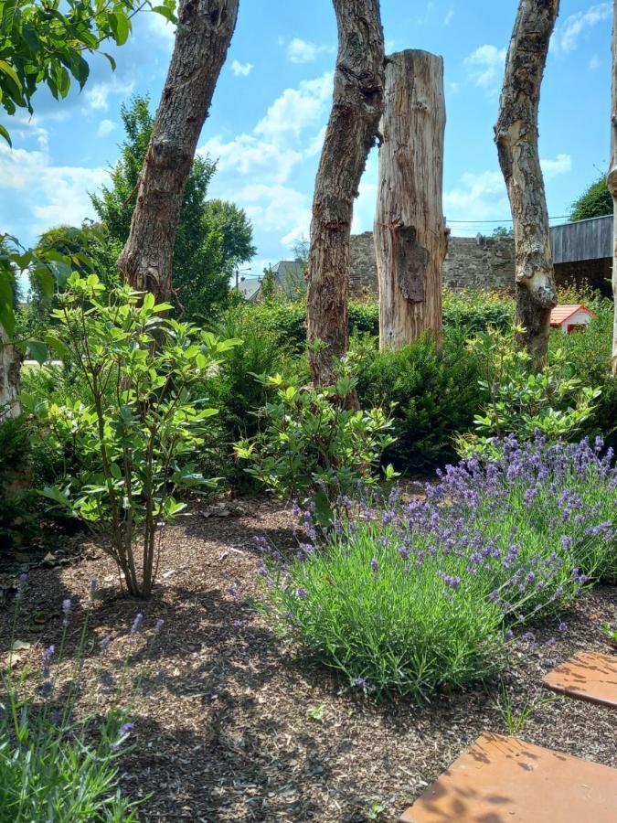 Le Jardin Des Fagnes Villa Robertville Bagian luar foto